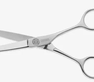 Hair scissors
